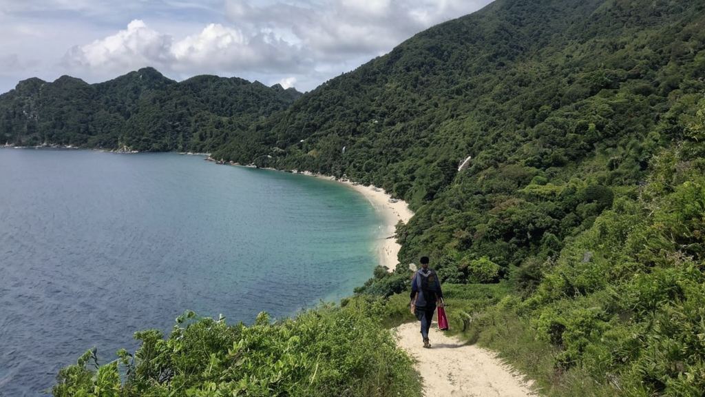 内地明星放网站都设有评论区引发猜测，与吃瓜大赛引发网友热议的反差